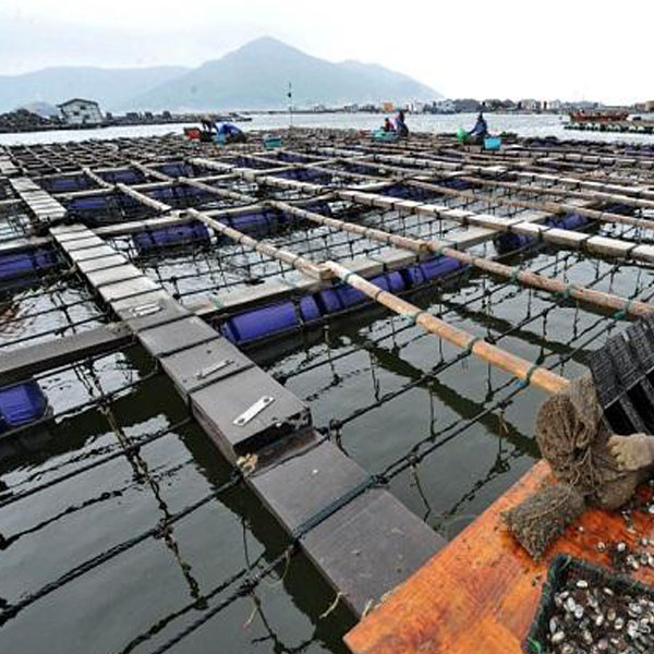 海鲜养殖应用方案